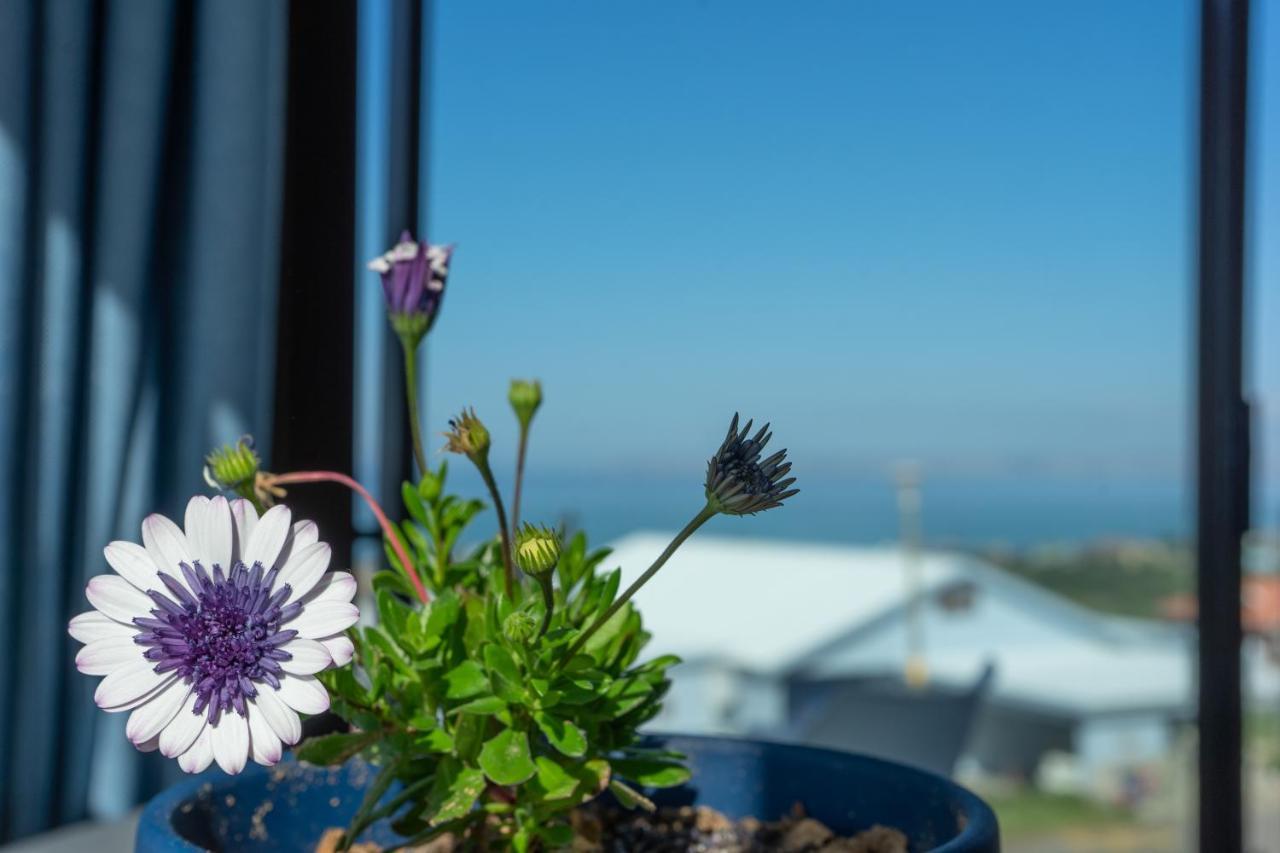Blue Star Villa Tergniet Εξωτερικό φωτογραφία